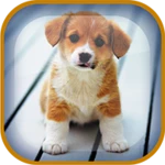 puppy live wallpaper android application logo